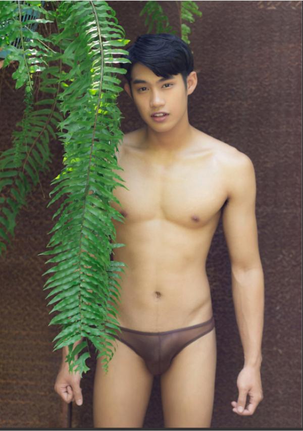 Brothers-Vol.15---Diamond